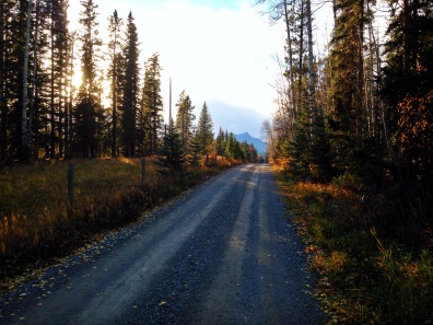 The road to the viewpoint, nestled in the Ghost Valley.  Photo by Anna Glaser
